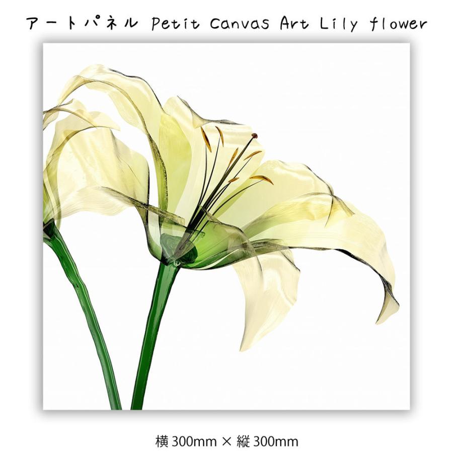 アートパネル Petit Canvas Art Lily flower キャンバスアート 絵 壁掛け ホワイト 300×300mm 引出物 壁飾り 白 アートポスター 花 レントゲン 感謝価格 イ アート