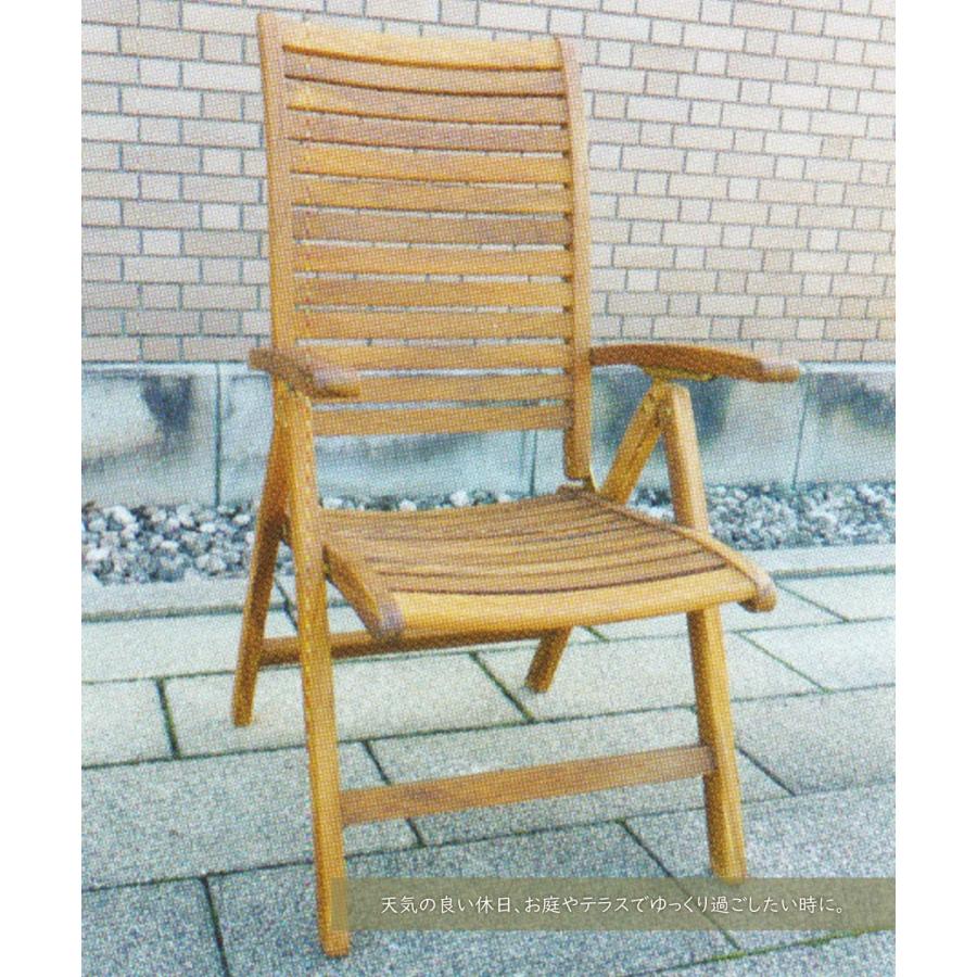 リクライニングチェア ガーデンチェア チェア 椅子 イス