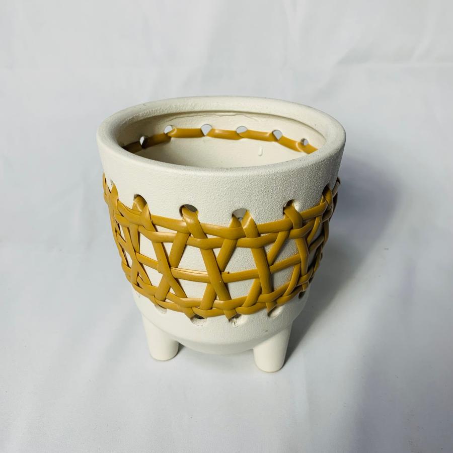 観葉植物　おしゃれ　ムラサキオモト　紫万年青　5号　ラタン鉢　ホワイト　インテリア　引っ越し　ギフト |  | 03