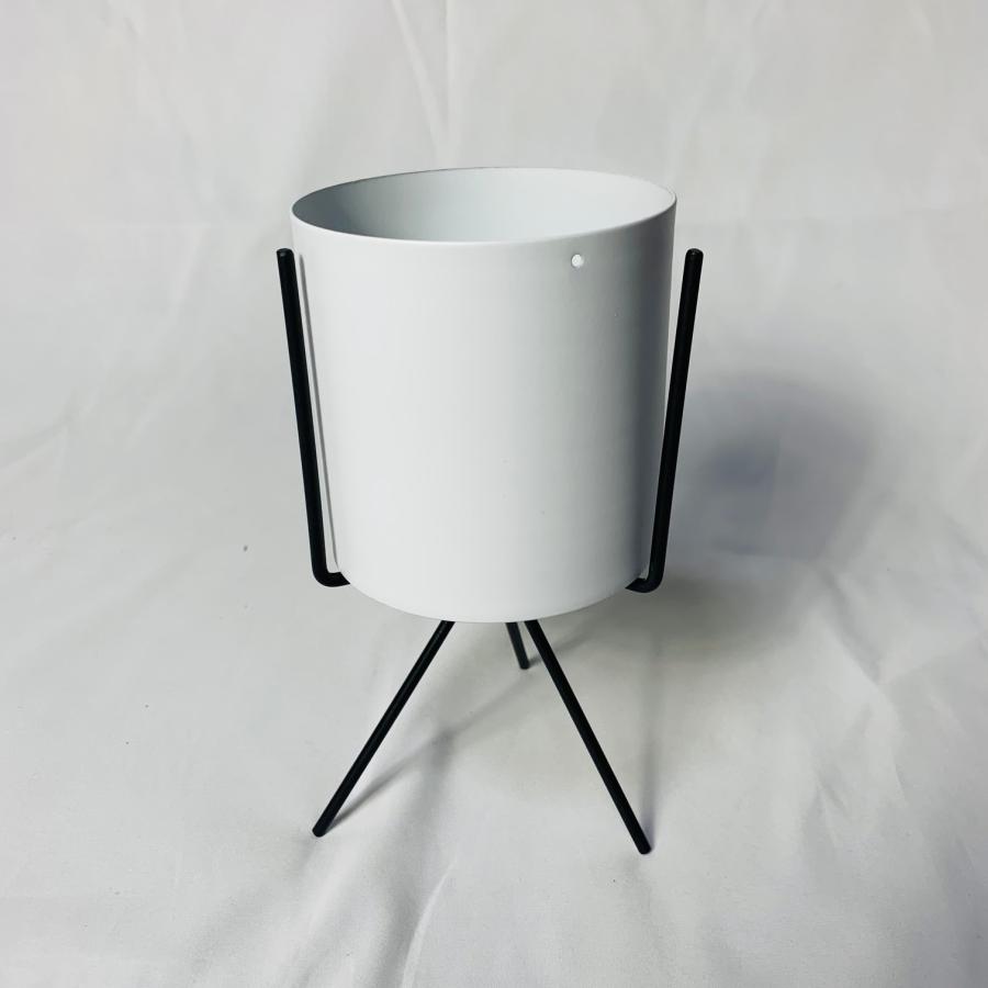 観葉植物　おしゃれ　オキシカルジュウム　ブラジル　スタンド鉢　　インテリア　ギフト　 |  | 04