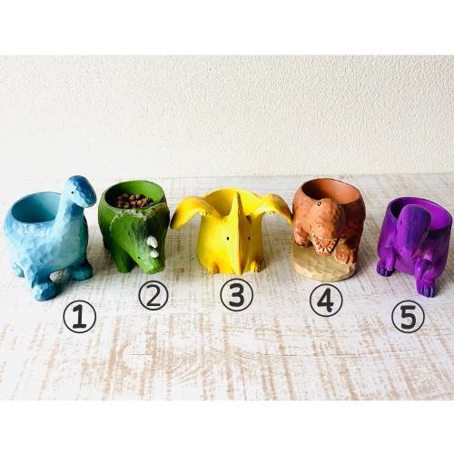 選べる　小さな恐竜の鉢植え　サボテンの品種はおまかせ　多肉植物　インテリア　在宅ワーク　デスク |  | 06