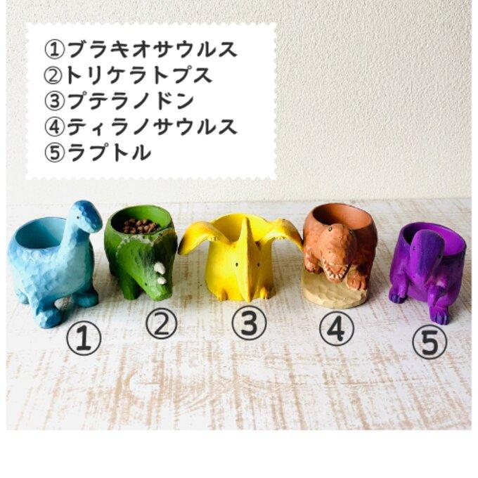選べる　小さな恐竜の鉢植え　サボテンの品種はおまかせ　多肉植物　インテリア　在宅ワーク　デスク |  | 07