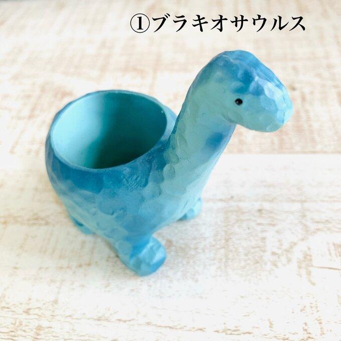 選べる　小さな恐竜の鉢植え　サボテンの品種はおまかせ　多肉植物　インテリア　在宅ワーク　デスク |  | 01