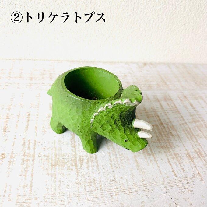 選べる　小さな恐竜の鉢植え　サボテンの品種はおまかせ　多肉植物　インテリア　在宅ワーク　デスク |  | 02