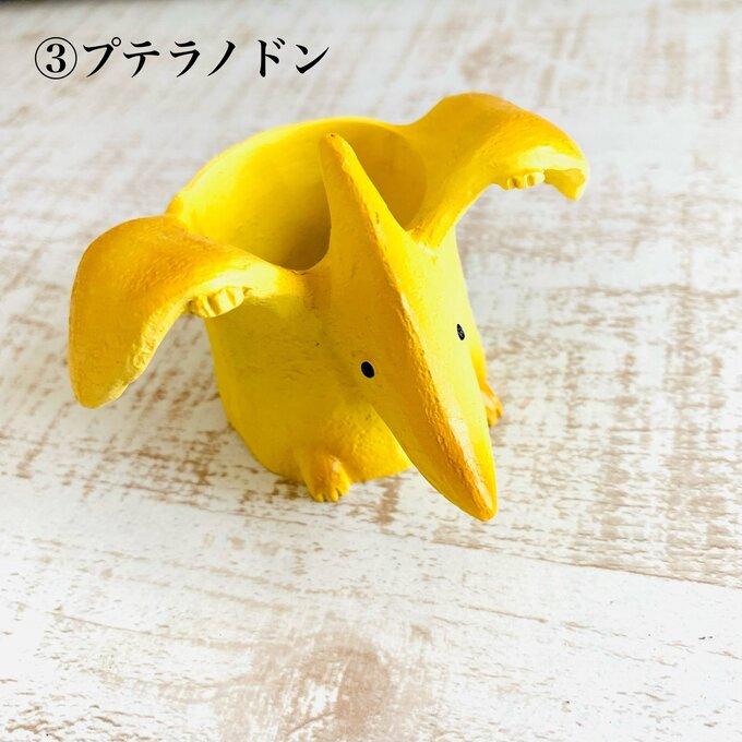 選べる　小さな恐竜の鉢植え　サボテンの品種はおまかせ　多肉植物　インテリア　在宅ワーク　デスク |  | 03