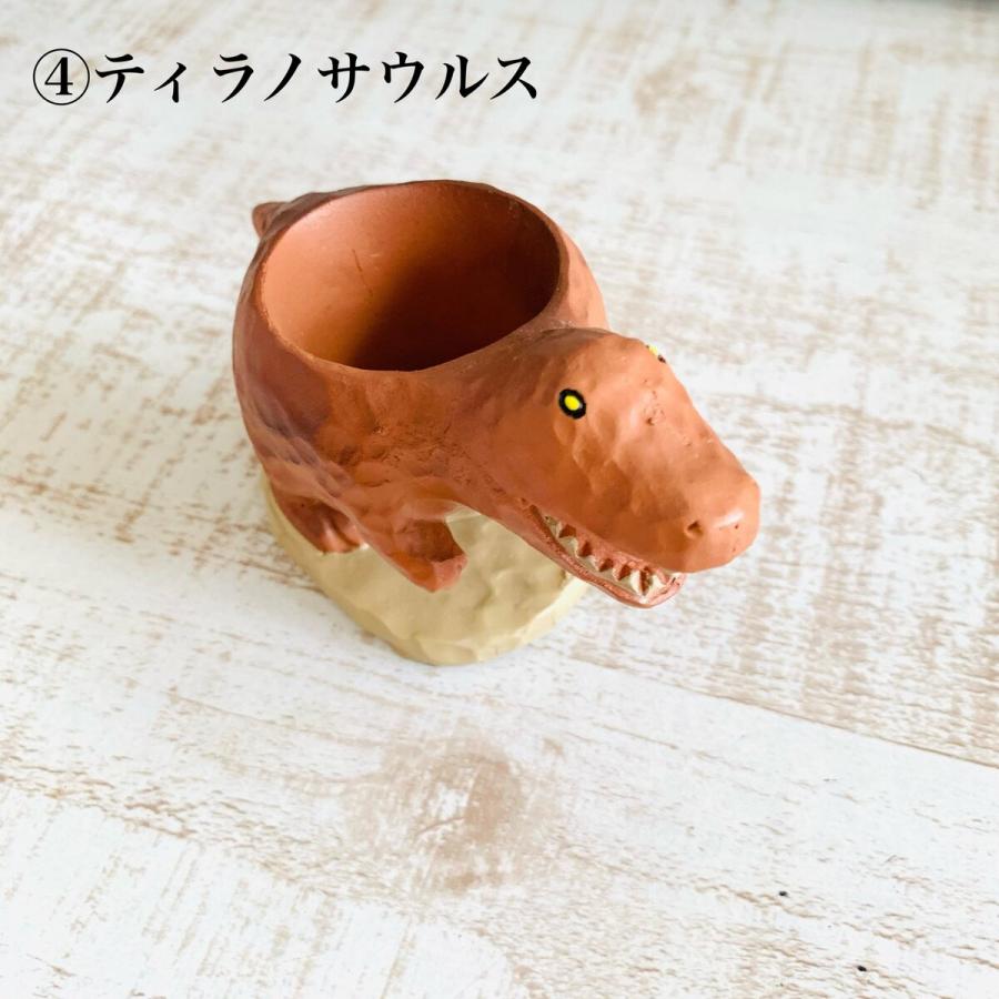 選べる　小さな恐竜の鉢植え　サボテンの品種はおまかせ　多肉植物　インテリア　在宅ワーク　デスク |  | 04