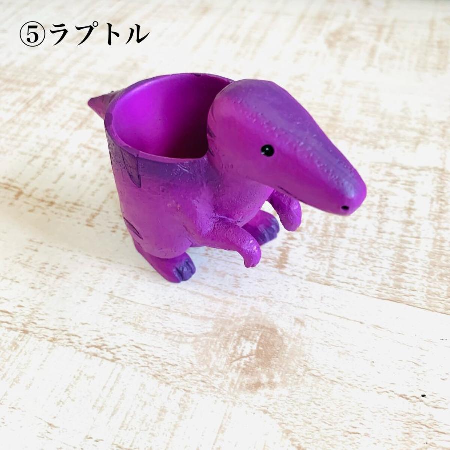 選べる　小さな恐竜の鉢植え　サボテンの品種はおまかせ　多肉植物　インテリア　在宅ワーク　デスク |  | 05