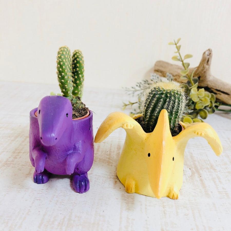 選べる　小さな恐竜の鉢植え　サボテンの品種はおまかせ　多肉植物　インテリア　在宅ワーク　デスク |  | 09
