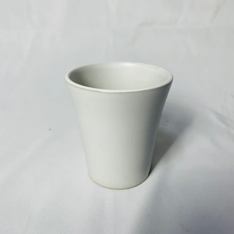 観葉植物　おしゃれ  ディスキディア　ハートジュエリー　オメガ型陶器鉢　3.5号　多肉植物 |  | 04