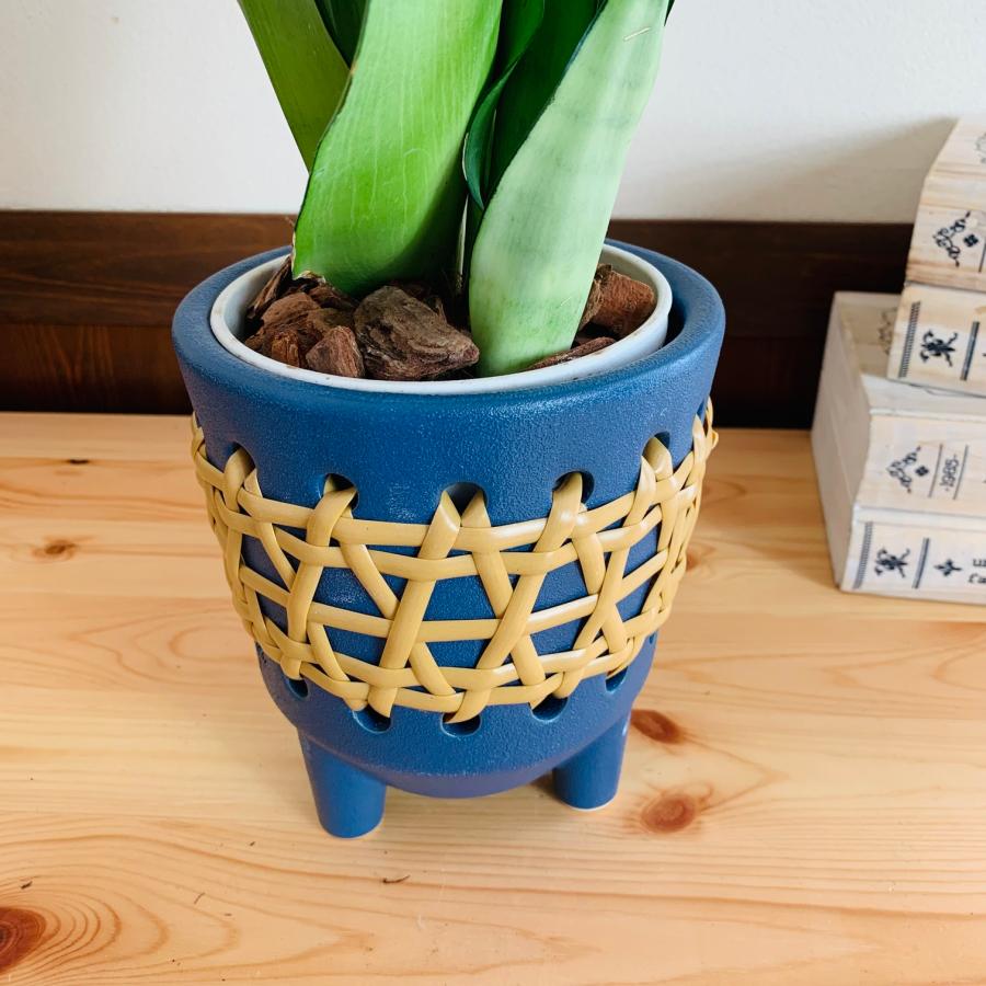 観葉植物　おしゃれ　サンスベリア　シルバーキング　紫万年青　5号　ラタン鉢　青　インテリア　引っ越し　ギフト |  | 04