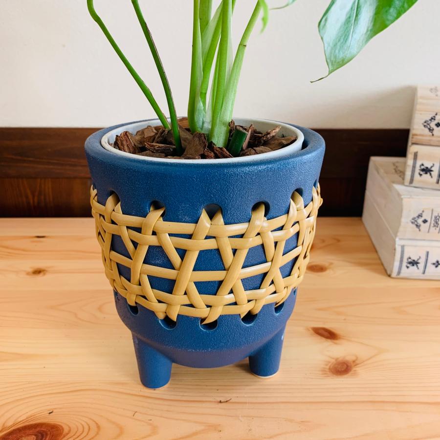 おしゃれ　　観葉植物　モンステラ　4号　ラタン鉢　青　陶器鉢　インテリア　ギフト |  | 04