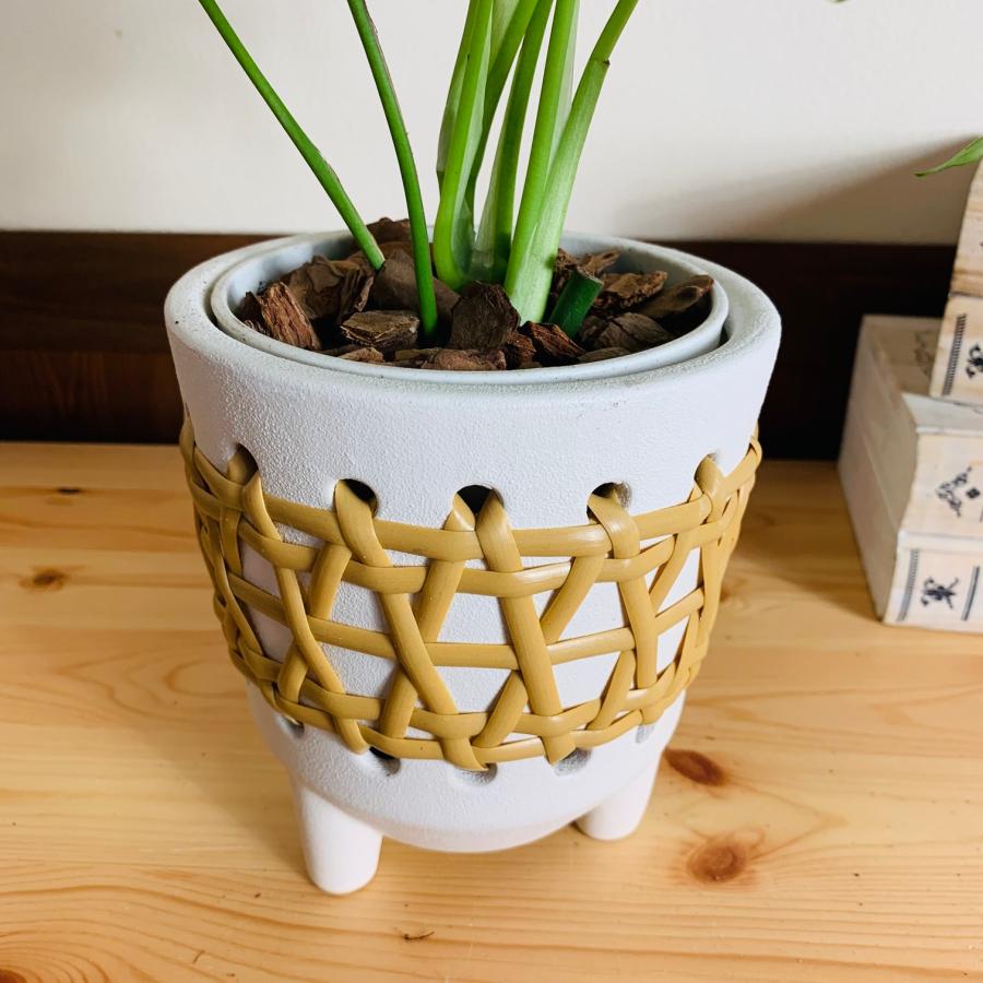 おしゃれ　　観葉植物　モンステラ　　4号　ラタン鉢　ホワイト　陶器鉢　インテリア　引っ越し　 |  | 04