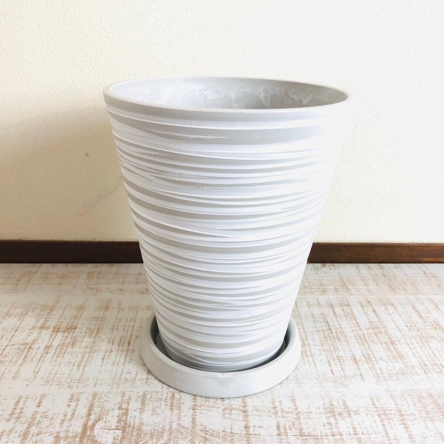 観葉植物　おしゃれ　オリーブの木　おしゃれな軽量ロング鉢　　受け皿付き　5号　ガーデニング　インテリア　 |  | 03