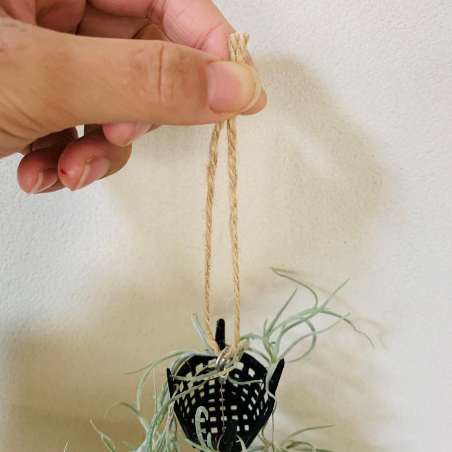 おしゃれ　観葉植物　吊り下げ　モンステラ　スパニッシュモス　エアプランツ　木の香りがする鉢　壁掛け　室内　引っ越し |  | 06