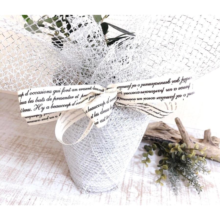 観葉植物　おしゃれ　母の日　予約　紫陽花 サーファー　ホワイトウェイブス　　5号　母の日カード付き　ロングホワイト　アジサイ |  | 04