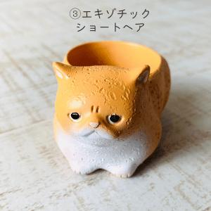選べる　小さな猫の鉢植え　サボテンの品種はおまかせ　多肉植物　インテリア　在宅ワーク　デスク |  | 03
