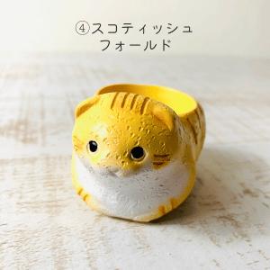 選べる　小さな猫の鉢植え　サボテンの品種はおまかせ　多肉植物　インテリア　在宅ワーク　デスク |  | 04