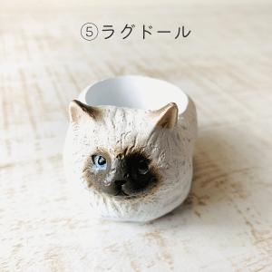 選べる　小さな猫の鉢植え　サボテンの品種はおまかせ　多肉植物　インテリア　在宅ワーク　デスク |  | 05