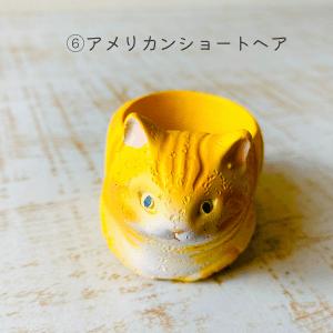 選べる　小さな猫の鉢植え　サボテンの品種はおまかせ　多肉植物　インテリア　在宅ワーク　デスク |  | 06