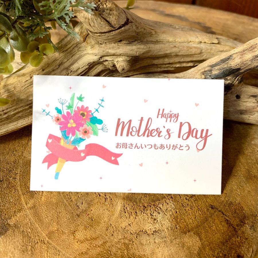 観葉植物　おしゃれ　母の日　予約　ベラボン植え　ハートアイビー　ゴールデンポトス　ラウンドグラス　ギフト　インテリア　室内 |  | 05