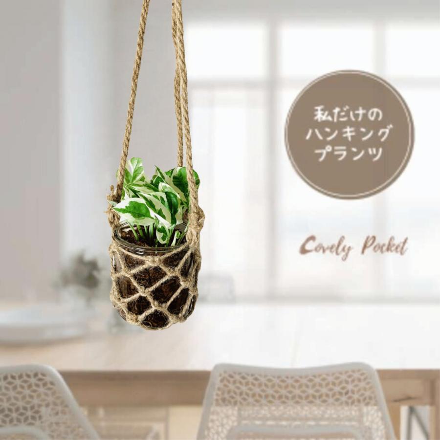 壁掛け　オシャレ　ポトス　エンジョイ　グラスハンギング　ベラボン植え　インテリア　観葉植物　吊るす　植木鉢　 | 