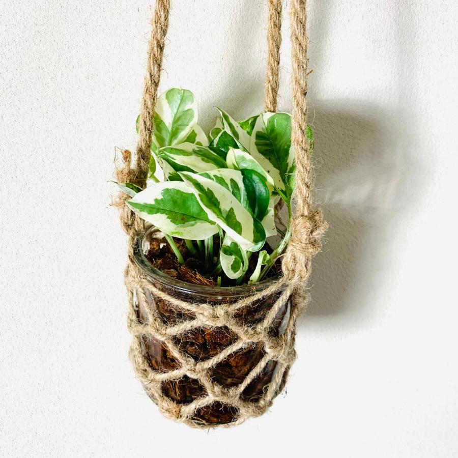 壁掛け　オシャレ　ポトス　エンジョイ　グラスハンギング　ベラボン植え　インテリア　観葉植物　吊るす　植木鉢　 |  | 02