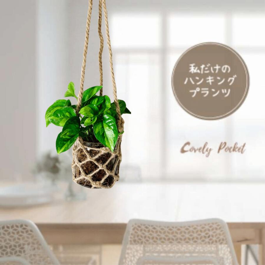 壁掛け　オシャレ　ポトス　グローバルグリーン　グラスハンギング　ベラボン植え　インテリア　観葉植物　吊るす　植木鉢　 | 