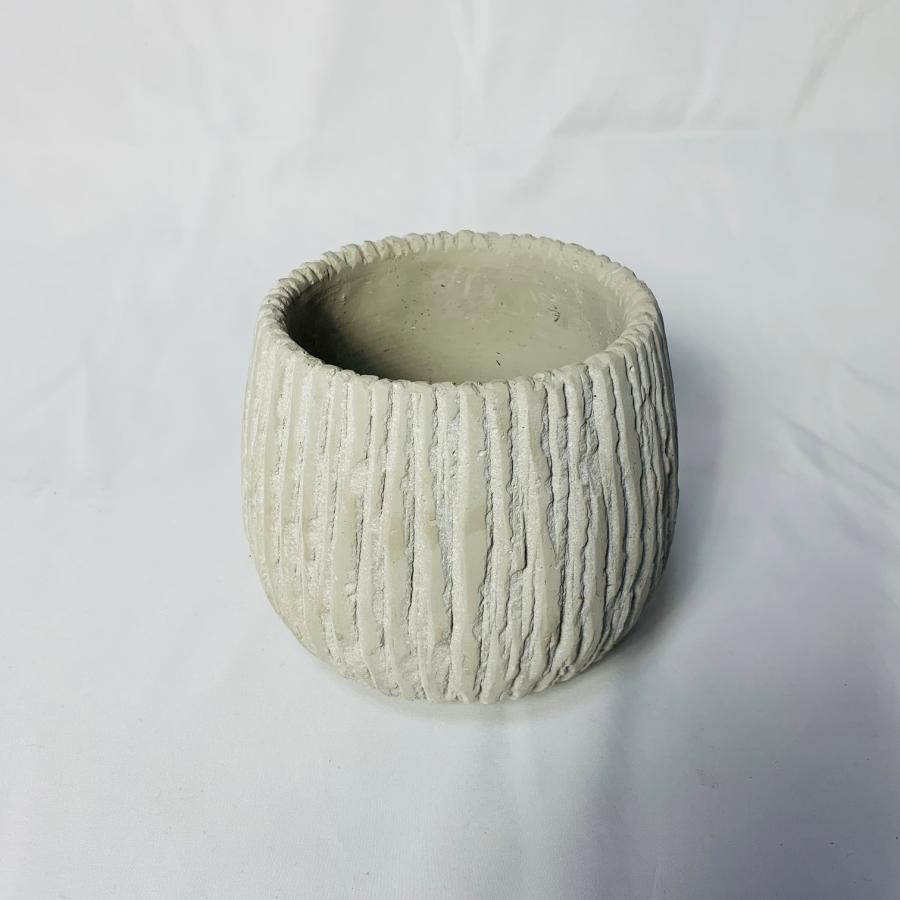 観葉植物　おしゃれ　パキラ　アンティーク陶器鉢　受け皿付き　5号　引っ越し　インテリア |  | 05