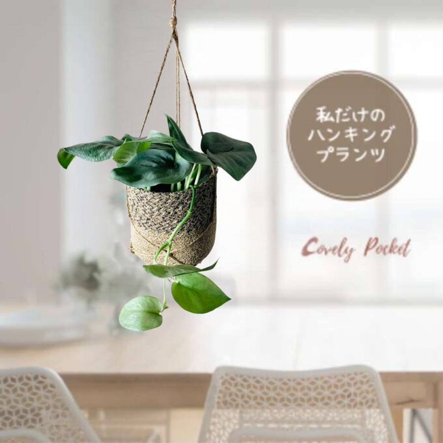フェイク　モンステラ 吊り下げ　お洒落　ハンキング　　ヒメモンステラ　リビング フェイク モンステラ 吊り下げ お洒落 ハンキング ヒメモンステラ