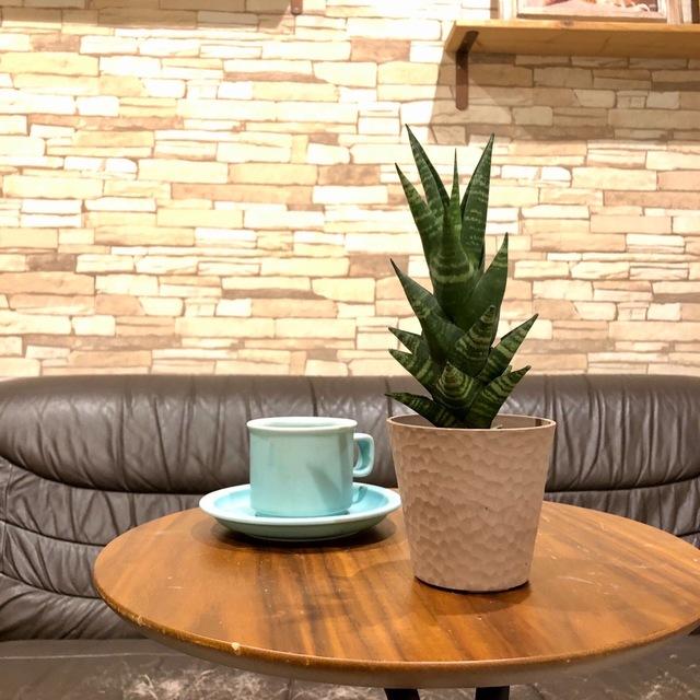 おしゃれ サンスベリア タイハイブリッド アロマ鉢 4号 多肉植物 観葉