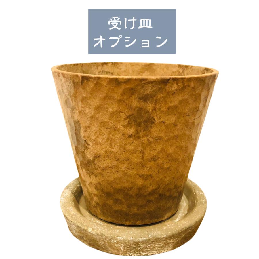 おしゃれ サンスベリア タイハイブリッド アロマ鉢 4号 多肉植物 観葉