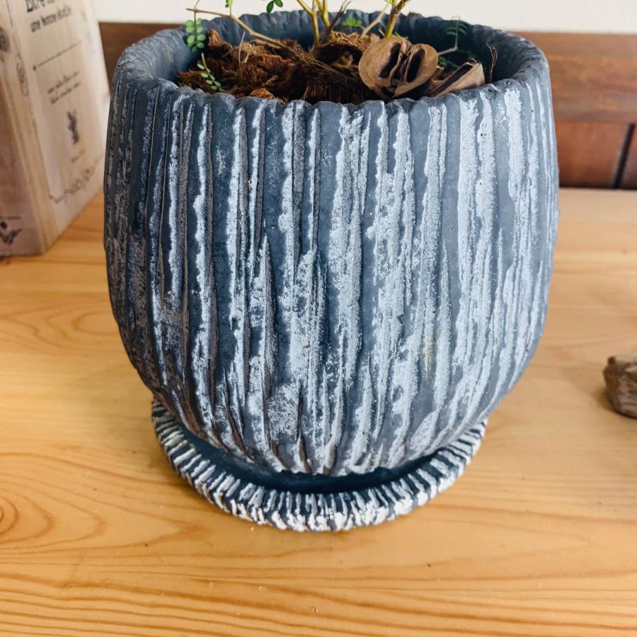 観葉植物　おしゃれ　引っ越し　シルバーキング　アンティーク陶器鉢　グレー　受け皿付き　5号 |  | 04