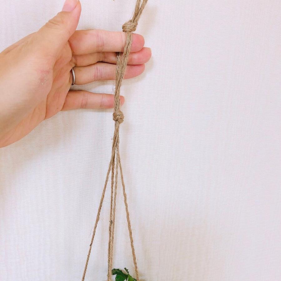 おしゃれ　観葉植物 　吊り下げ　シュガーバイン 木の香りがする鉢　4号　壁掛け　インテリア |  | 05