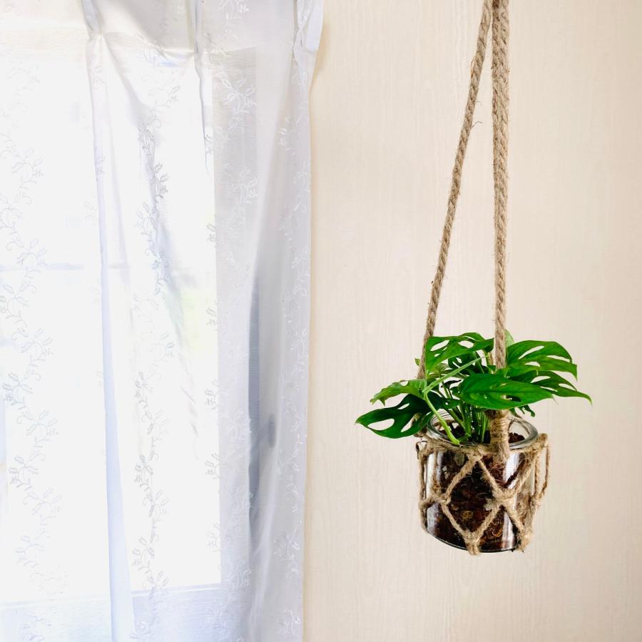 壁掛け　オシャレ　モンステラ　つる性マドカズラ　グラスハンギング　インテリア　観葉植物　吊るす　植木鉢　 |  | 04