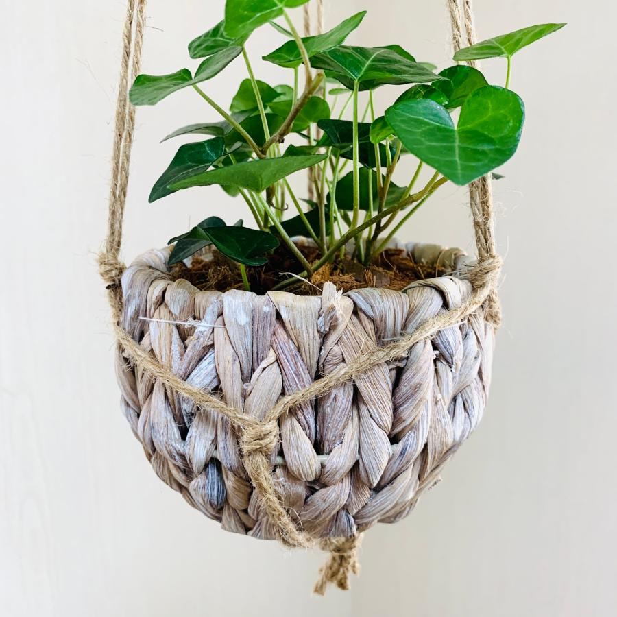 壁掛け　オシャレ　ハートアイビー　ヘデラ　ナチュラルバスケット　インテリア　観葉植物　吊るす　植木鉢　 |  | 03