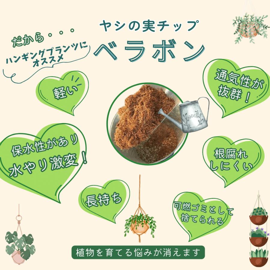 壁掛け　オシャレ　シュガーバイン　アイビー　ナチュラルバスケット　インテリア　観葉植物　吊るす　植木鉢　 |  | 05