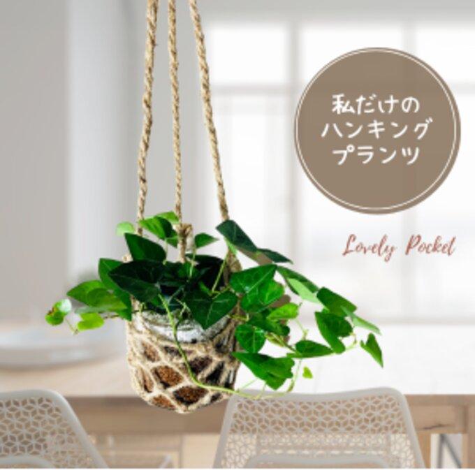 壁掛け　オシャレ　ハートアイビー　ヘデラ　グラスハンギング　インテリア　観葉植物　吊るす　植木鉢　 | 