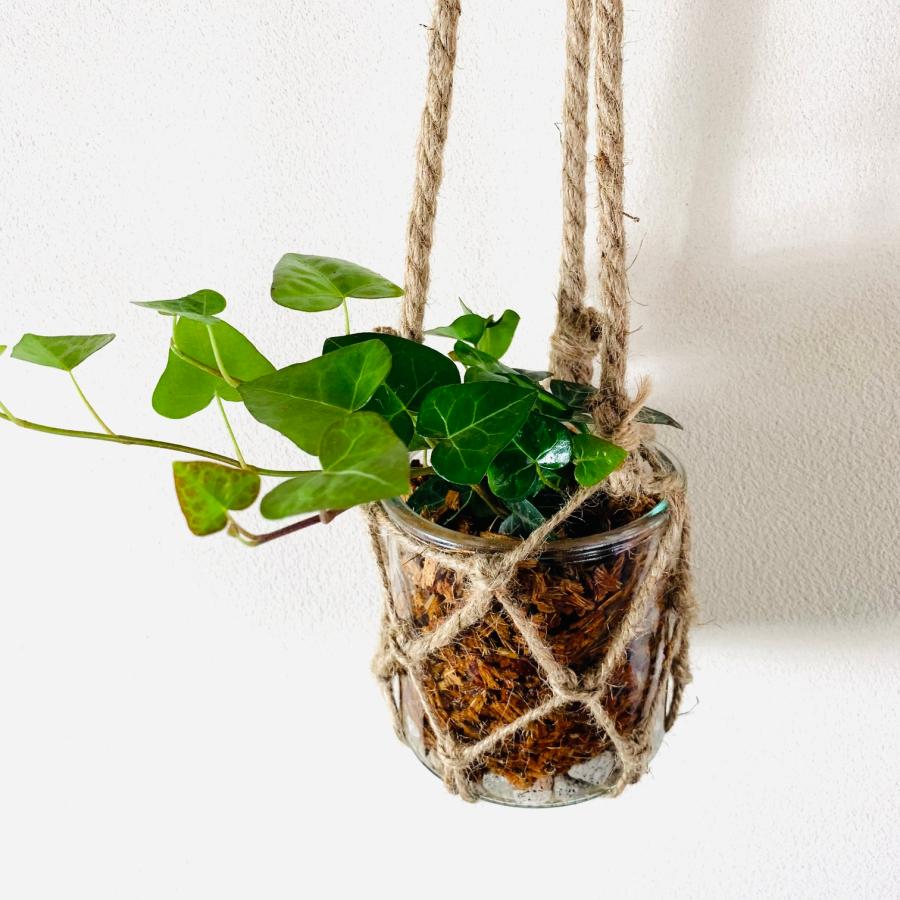 壁掛け　オシャレ　ハートアイビー　ヘデラ　グラスハンギング　インテリア　観葉植物　吊るす　植木鉢　 |  | 02