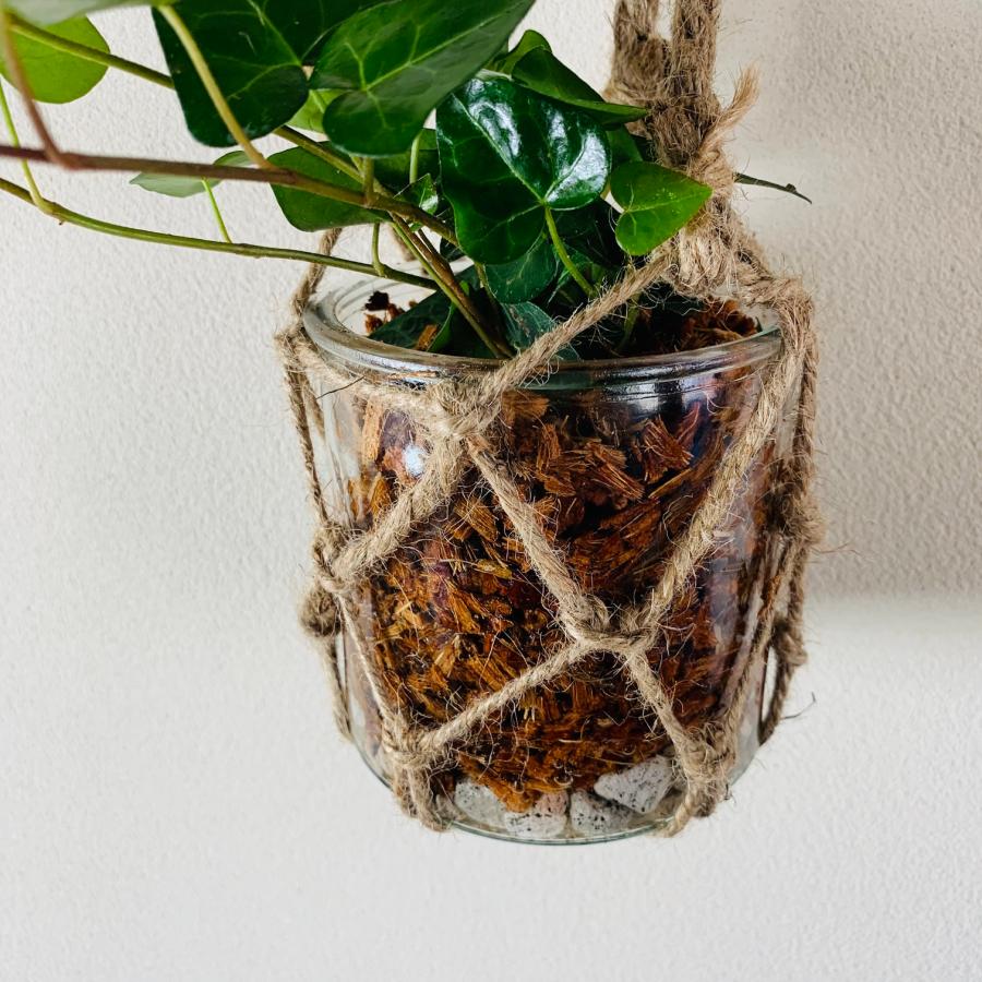 壁掛け　オシャレ　ハートアイビー　ヘデラ　グラスハンギング　インテリア　観葉植物　吊るす　植木鉢　 |  | 04