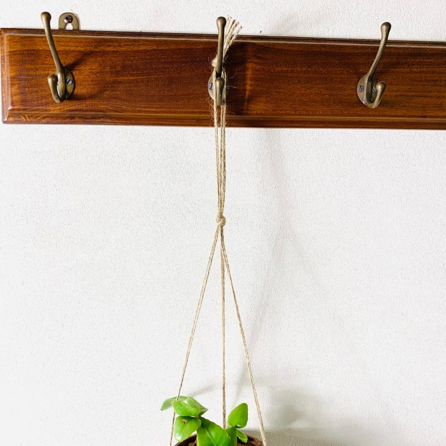 おしゃれ　観葉植物　吊り下げ　リプサリス　エレプティカ　ハンキングアロマ鉢　4号　受け皿キャップ付き　インテリア　多肉植物　引っ越し　 |  | 05