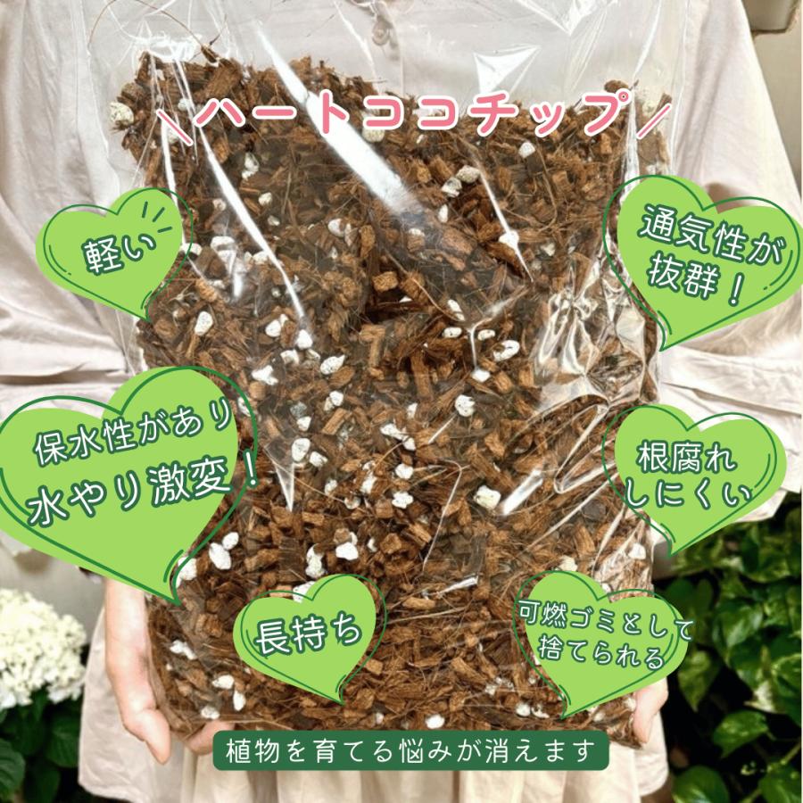 当店ブレンド　ハートココチップ　5リットル　ココヤシ　ベラボン　日向軽石　培養土　観葉植物　ハンギング | 