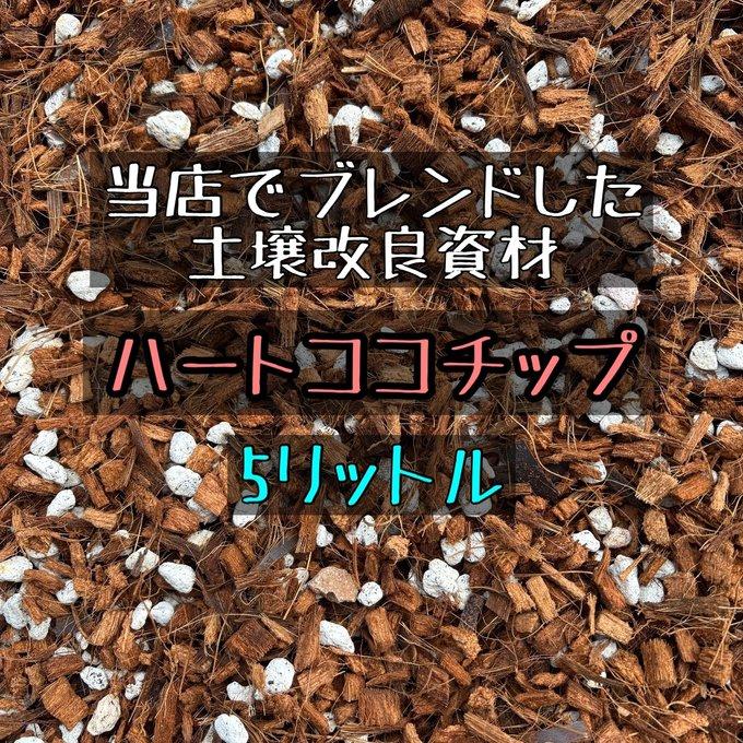 当店ブレンド　ハートココチップ　5リットル　ココヤシ　ベラボン　日向軽石　培養土　観葉植物　ハンギング |  | 03