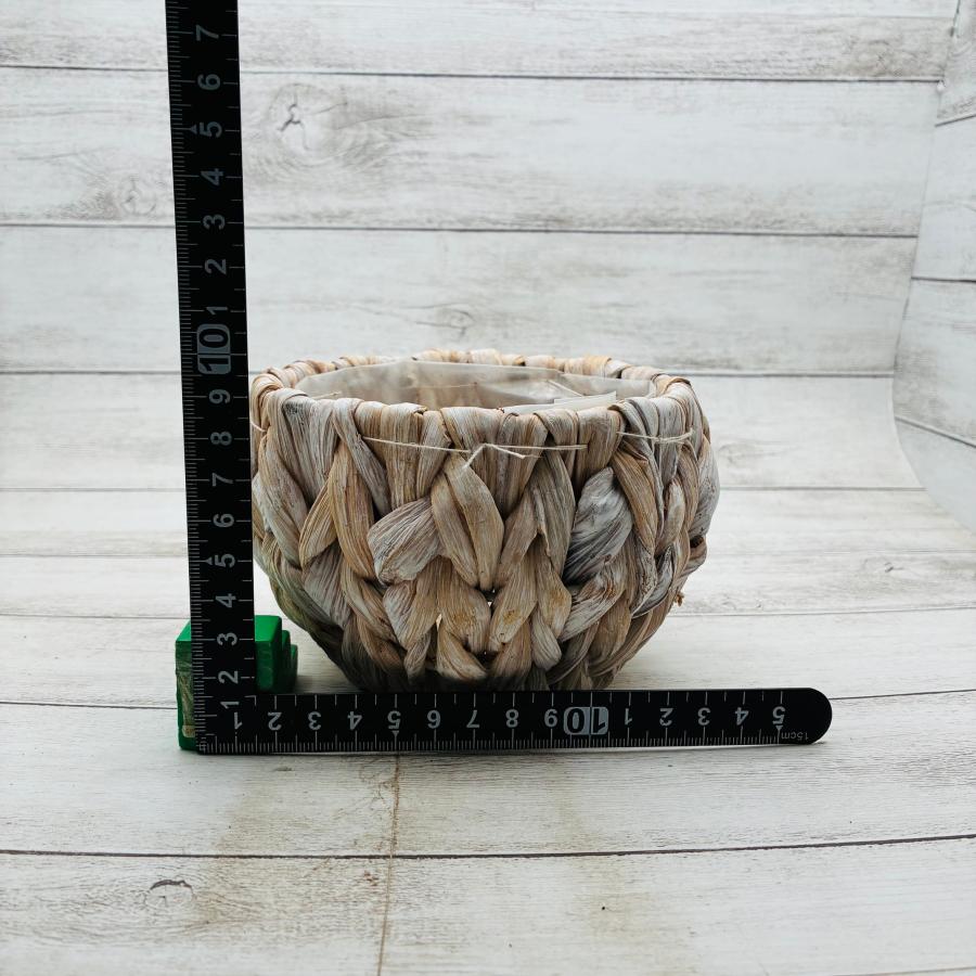 バスケット　おしゃれ　観葉植物　　室内　引っ越し　ギフト |  | 02