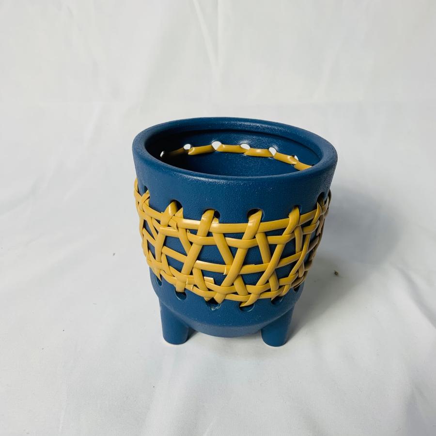 ラタン　青　おしゃれ　観葉植物　　室内　引っ越し　ギフト | 