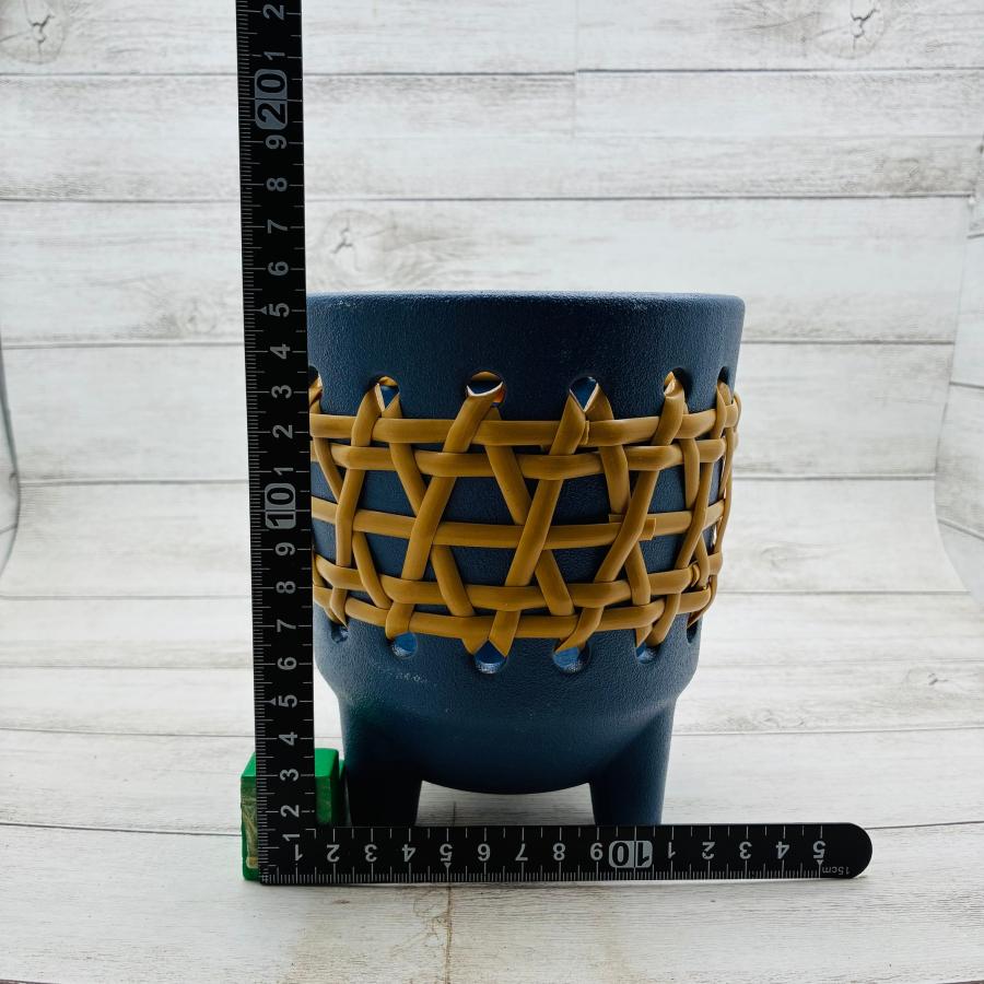 ラタン　青　おしゃれ　観葉植物　　室内　引っ越し　ギフト |  | 01