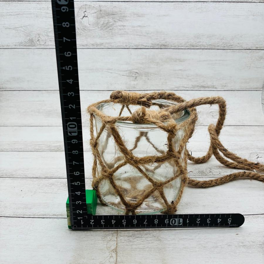 グラスハンキング　おしゃれ　観葉植物　　室内　引っ越し　ギフト　吊るす　壁掛け |  | 02