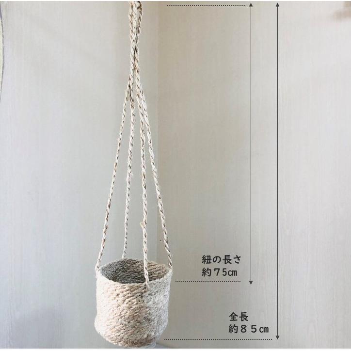 ジュードハンギング　5号　おしゃれ　観葉植物　　室内　引っ越し　ギフト　吊るす　壁掛け |  | 02