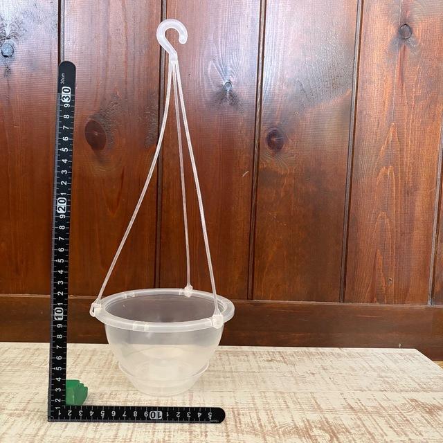4号　ネガミエル　ハンキング　おしゃれ　観葉植物　　室内　引っ越し　ギフト |  | 02