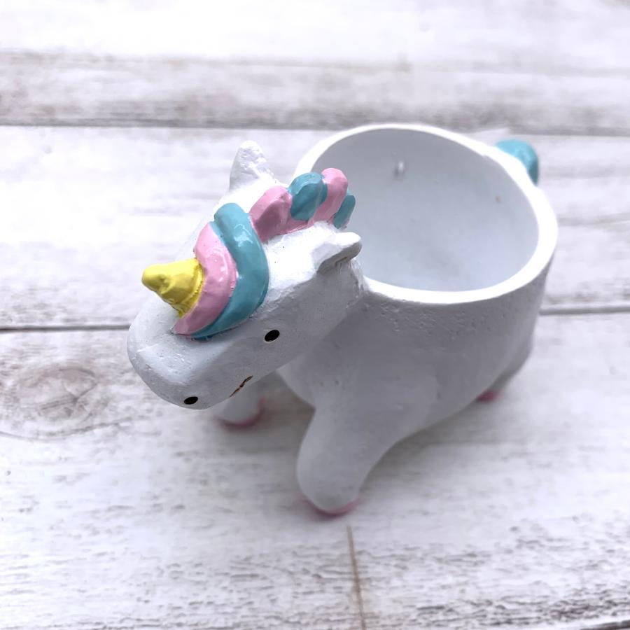 てのひらサイズの鉢　ユニコーン　2号　デスク　棚　観葉植物　インテリア |  | 01