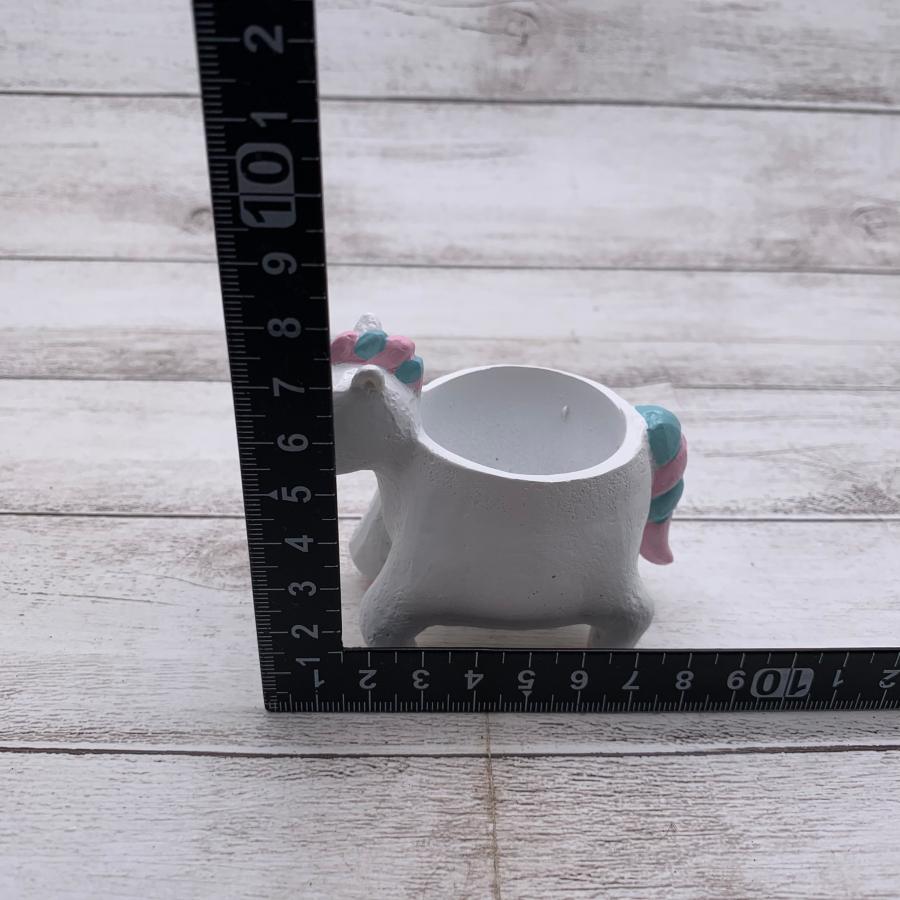 てのひらサイズの鉢　ユニコーン　2号　デスク　棚　観葉植物　インテリア |  | 03